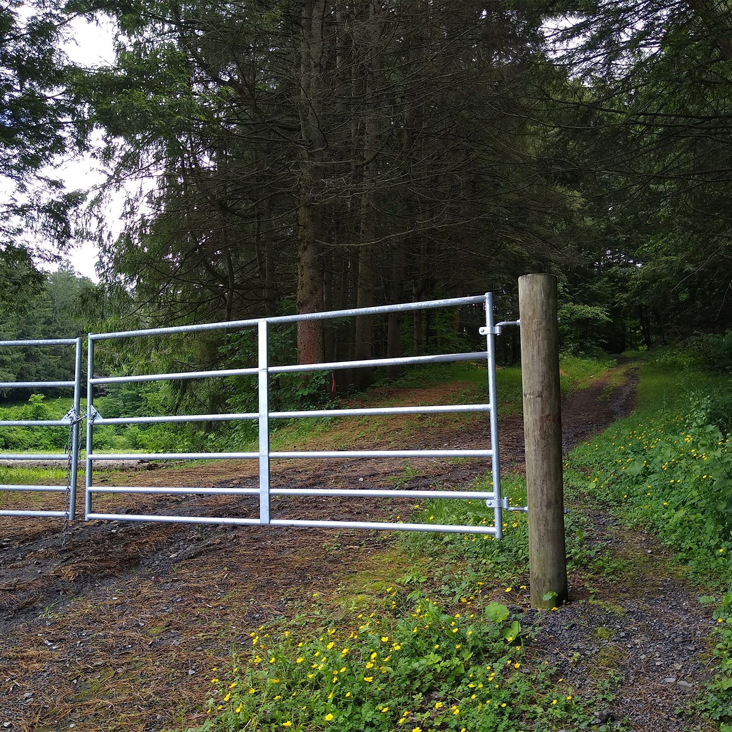 Reservoir Trails Gate